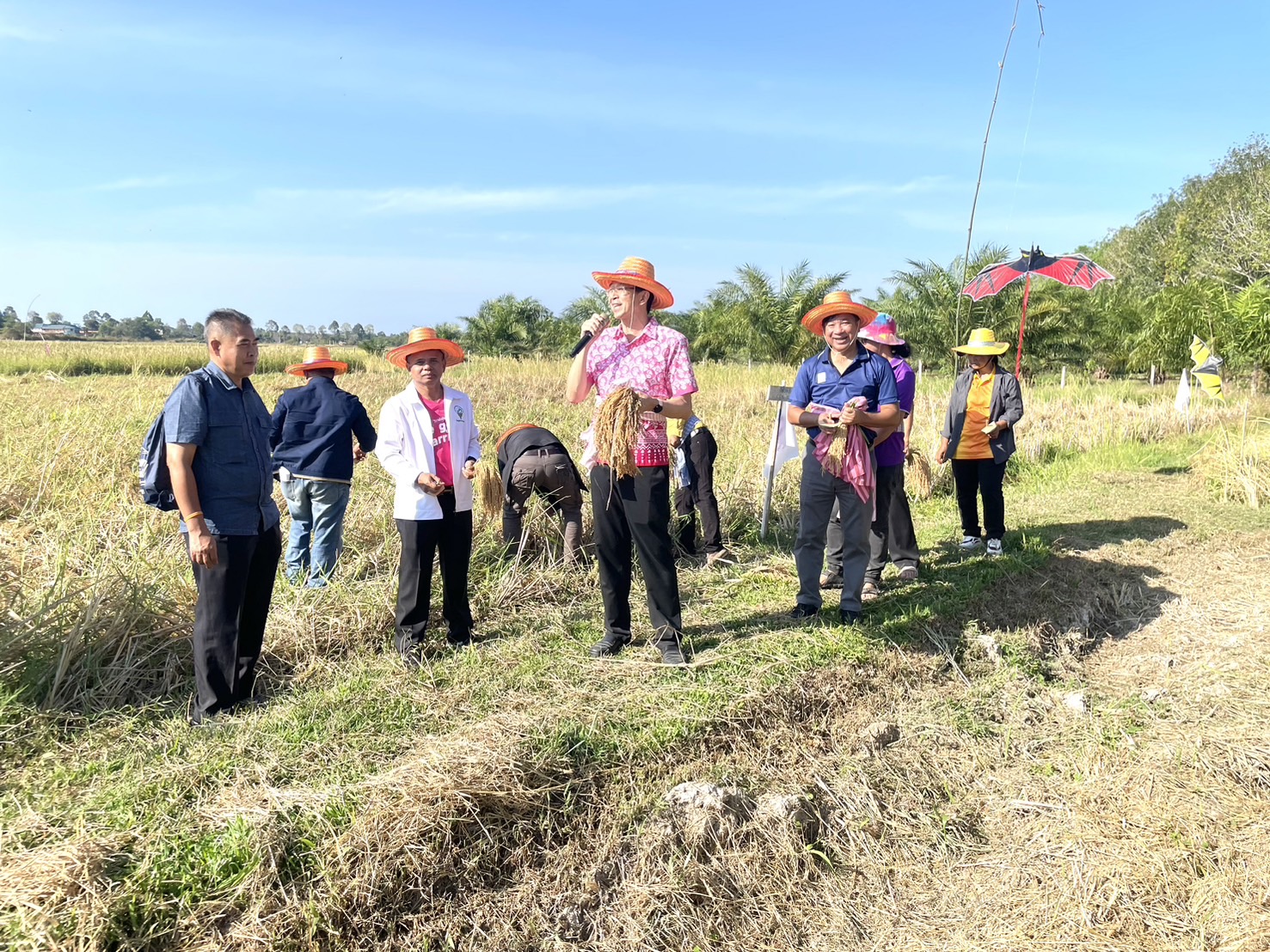 สธ.ตรัง โดยสำนักงานสาธารณสุขจังหวัดตรัง ร่วมงาน ๑๔ กุมภาเก็บข้าวเก็บรัก สานพลังน...