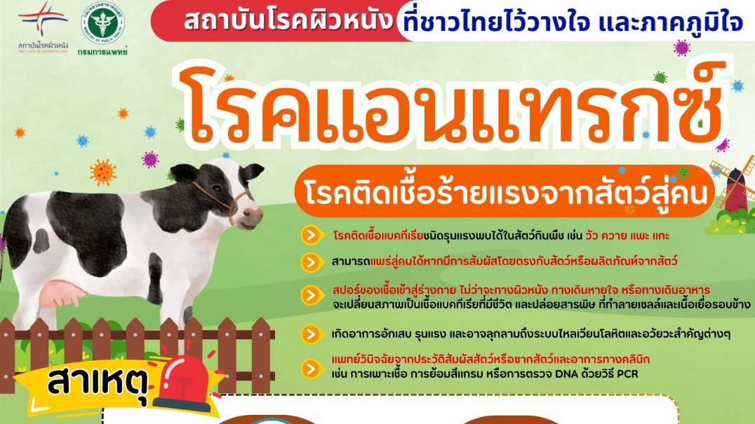 โรคแอนแทรกซ์ (Anthrax) รู้เท่าทันโรคติดเชื้อร้ายแรงจากสัตว์สู่คน