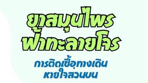 กรมการแพทย์มั่นใจในการใช้ฟ้าทะลายโจรรักษาอาการโรคระบบทางเดินหายใจในผู้ป่วยโควิด 19