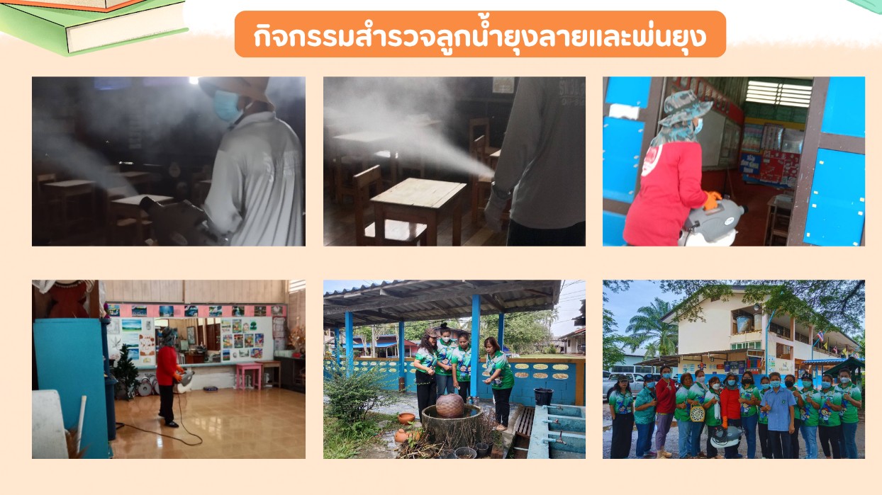 สำรวจลูกน้ำยุงลายและพ่นกำจัดยุง ฯ