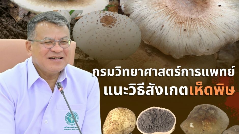 กรมวิทยาศาสตร์การแพทย์ แนะวิธีสังเกตเห็ดพิษเบื้องต้น