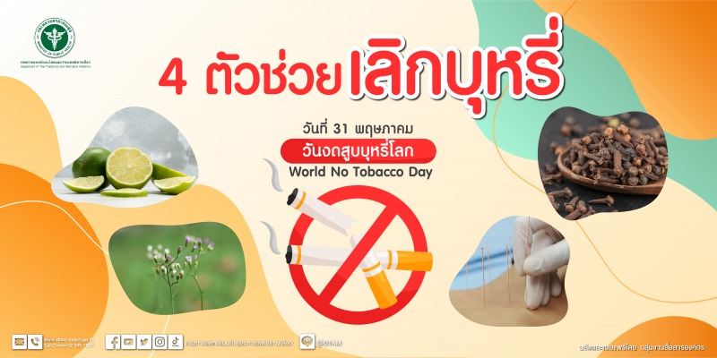 กรมการแพทย์แผนไทยฯ แนะนำ 3 สมุนไพร พร้อมแนวทางการฝังเข็มลดความอยากบุหรี่