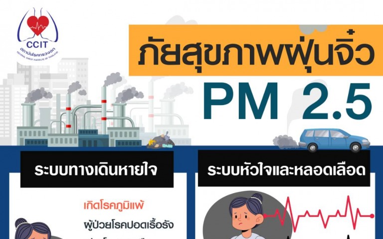 PM 2.5 ฝุ่นจิ๋ว ภัยร้ายต่อสุขภาพ