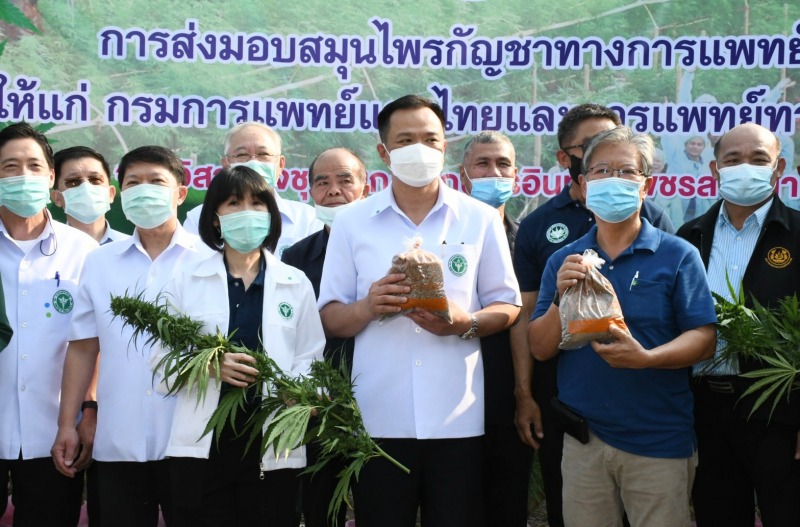 อนุทิน หนุนวิสาหกิจชุมชน ลำปาง ปลูก-เก็บเกี่ยวกัญชา ส่งแปรรูปเป็นยาแผนไทย