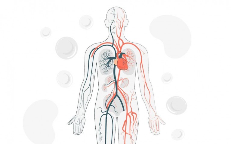 โรคผนังหลอดเลือดแดงใหญ่ปริแตกเซาะ(Aortic dissection) ภาวะเร่งด่วนที่ต้องรีบ วินิ...