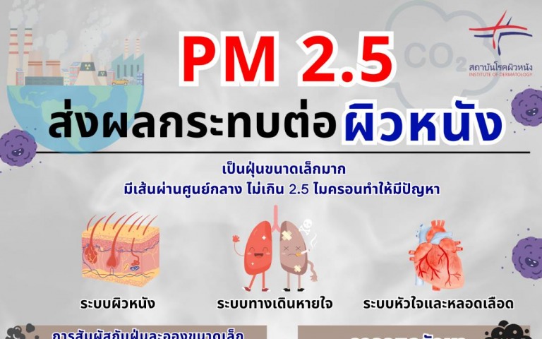 PM 2.5 กับผลกระทบทางผิวหนัง