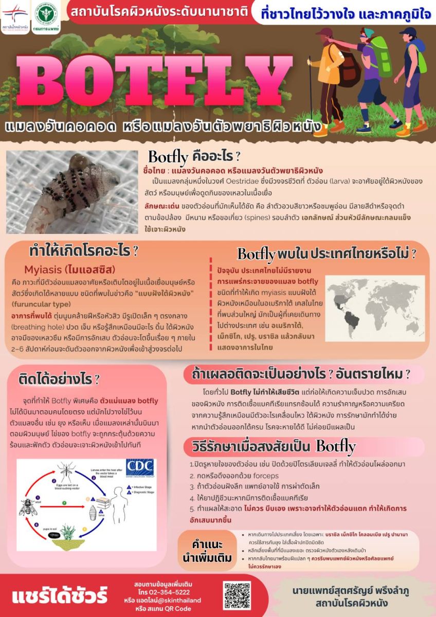 Botfly แมลงวันคอคอด